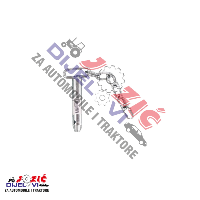 Daisy on the Ohoopee